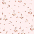 Image Not Available